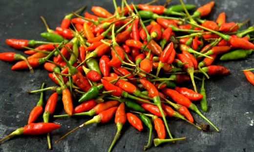 Exploring the Bird's Eye Chilli – African Dream Foods