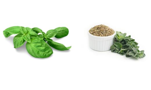 Basil vs. Oregano iSpice You