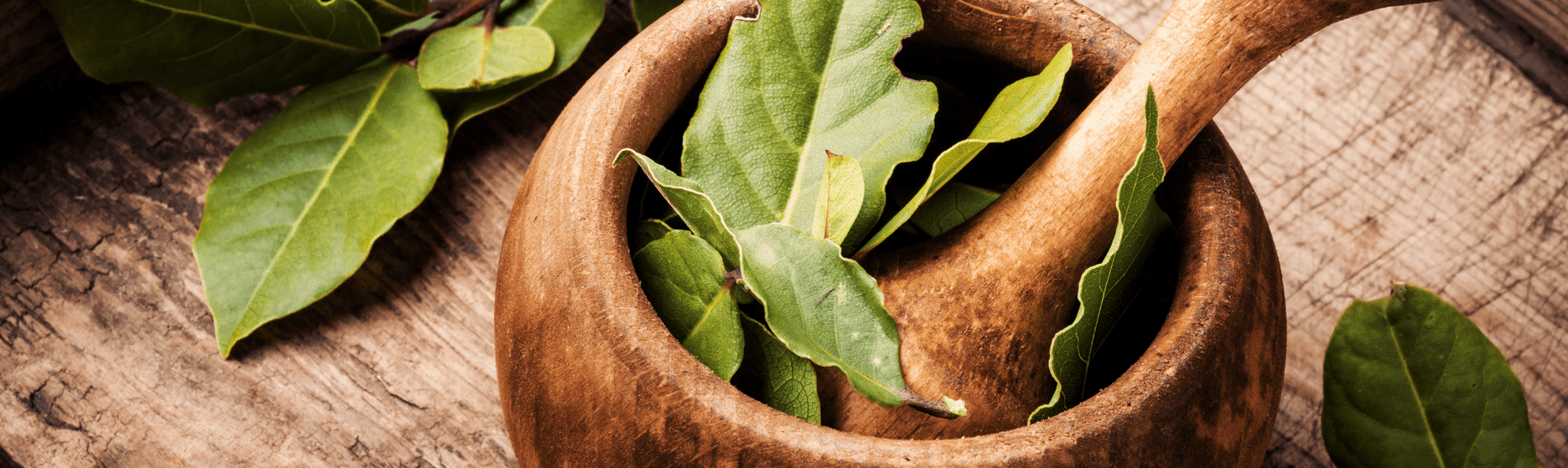 Bay Leaves