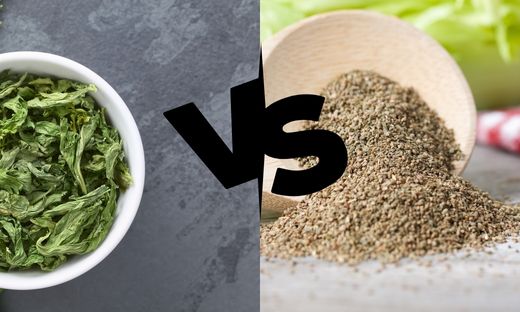 What is difference between celery seed and dried celery?