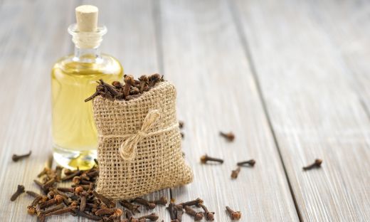 A Closer Look at Clove Oil Production: From Buds to Essential Oil