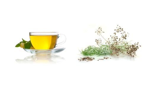 Brewing Dill Seed Tea: A Delightful Herbal Brew