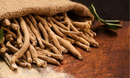 Ashwagandha: Fresh vs. Dried