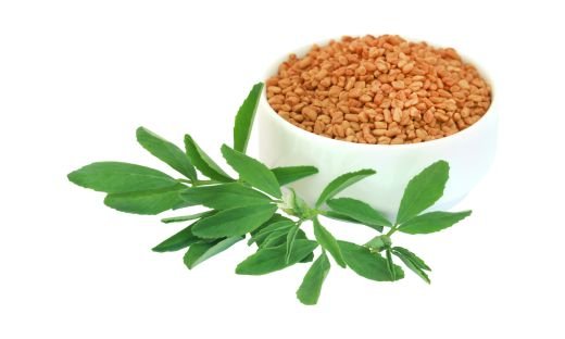 What is Fenugreek?