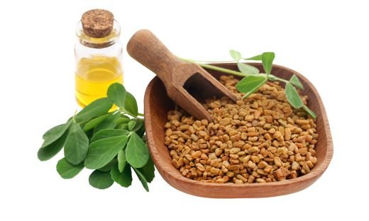 How to Grow Fenugreek in Your Home Garden