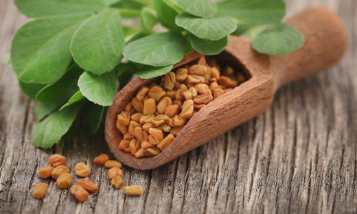 The Difference Between Fenugreek Leaves and Seeds in Culinary Use