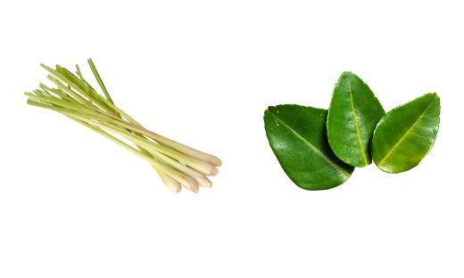 Lemon Grass vs. Kaffir Lime Leaves