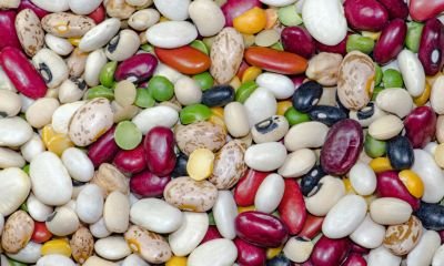 Beans and Weight Management: What You Need to Know