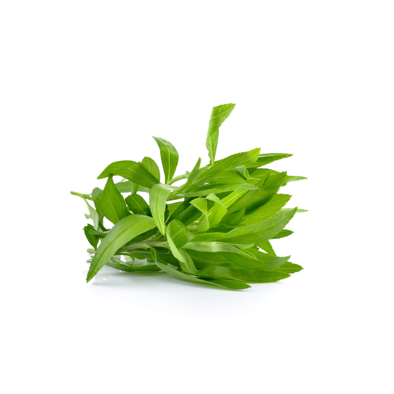 Tarragon