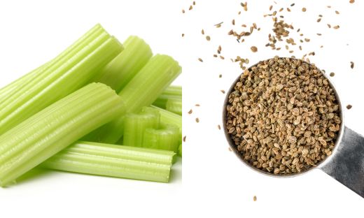 What is the Difference Between Celery and Celery Seed?