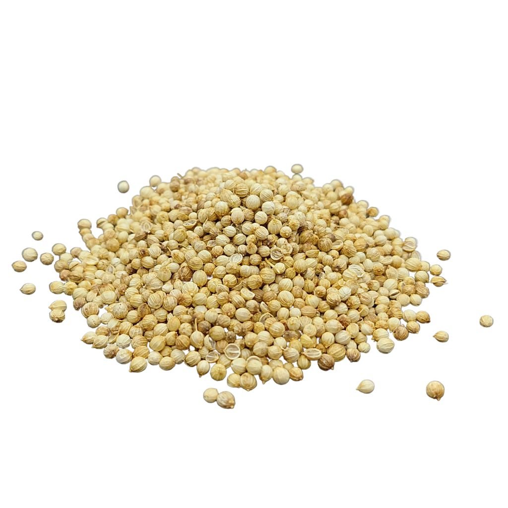 Coriander seed Whole coriander seed Culinary uses of coriander seed Cooking with coriander seed Earthy flavors of coriander seed Incorporating coriander seed Coriander seed in recipes Aromatic coriander seed Coriander seed for spice blends Coriander seed for curries Coriander seed for Middle Eastern cuisine